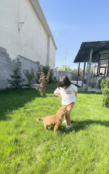 продаю дом село люксембург: Дом, 115 м², 6 комнат — 1