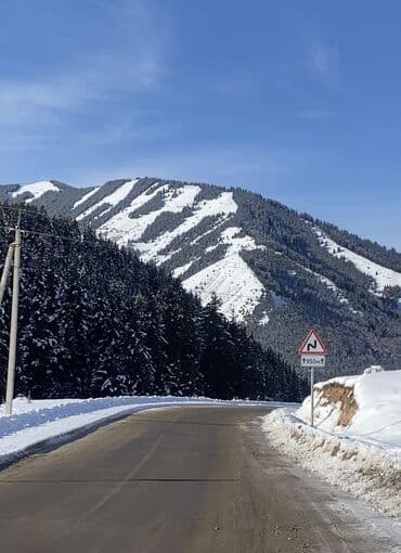 земля каракол: 10 соток, Для строительства, Красная книга — 9