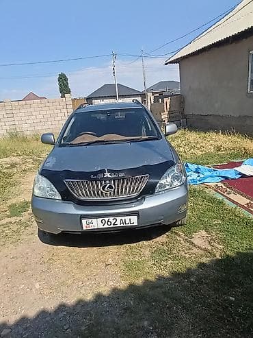 lexus 700: Lexus RX: 2004 г., 3.3 л, Автомат, Газ, Кроссовер — 1