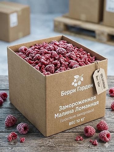 Дом и сад: Малина Оптом, Платная доставка, Самовывоз — 1