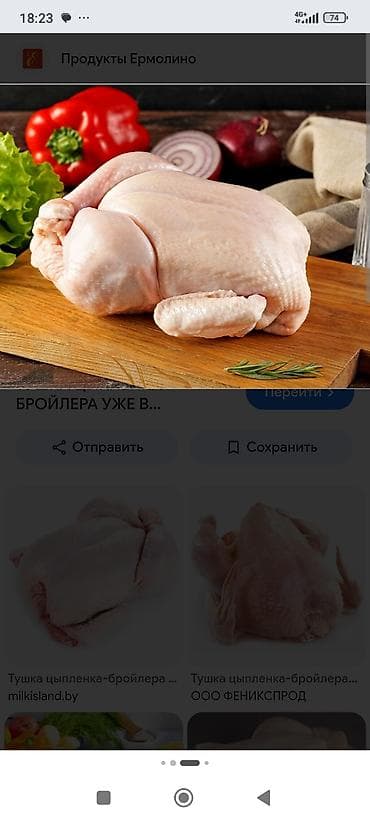 механические настенные часы: Тушка цыплёнка-бройлера целиком - Целая потрошёная тушка без пера и — 3