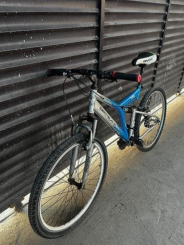 Велосипеддер: Тоо велосипеди, Велосипед алкагы L (172 - 185 см), Болот — 2