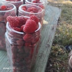 семена микрозелени бишкек: Другие виды семян и саженцев — 3