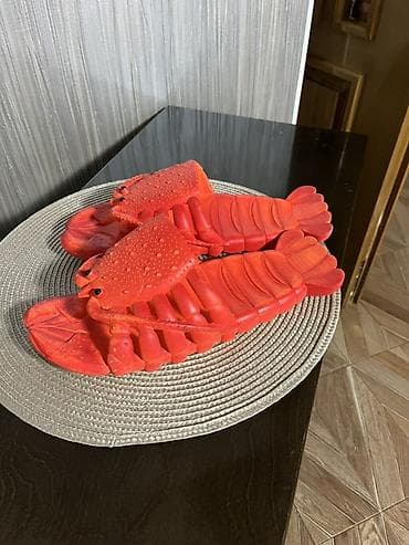 Жеке буюмдар: Эркектердин сандалийи, 45, Lobster, Колдонулган, Өзү алып кетүү — 2
