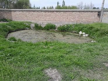 Щебень, Другое назначение, В тоннах, Камаз