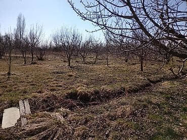 дом манас дача суу: ПРОДАЁТСЯ ДОМ С УЧАСТКОМ 1 ГЕКТАР В СЕЛЕ Григорьевка (район пристани) — 6