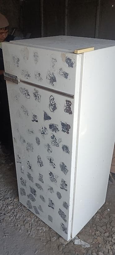 nikon camera: Холодильник Biryusa, Однокамерный, De frost (капельный) — 4