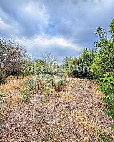 70: 🏠Продается дом в с. Романовка 🟡 Комнаты: 4 🟡 Участок: 15,97 соток — 5