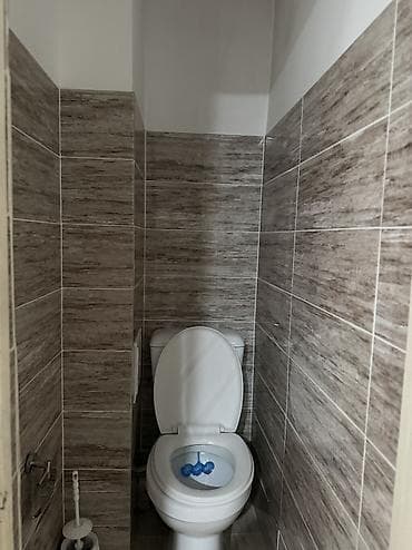 квартиры 3х комнатные: 3 комнаты, 55 м², Индивидуалка, 2 этаж, Косметический ремонт — 10
