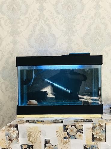 Аквариум полный комплект Комплект состоит из Аквариума на 102литра