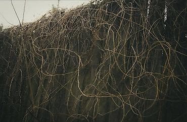 insta x3: Зеркальная фотокамера Sony α550 с комплектным объективом и — 6