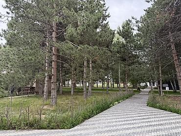 open space: Иссык-куль . ЦО фонтан ( карой ) Студия в лесопарковой зоне с — 6