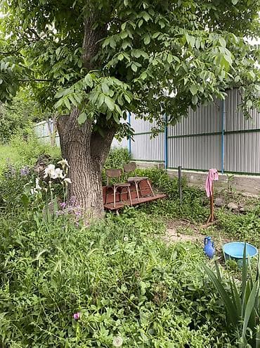дом купить сокулук: Срочно Продается дача 4 соток Сокулук САЗ район Возможен обмен на — 10