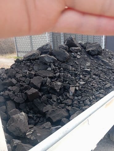 Уголь Беш-Сары: Кара Кече — 2