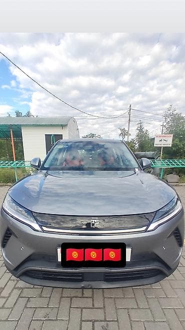 BYD Yuan Up: 2025 г., Электромобиль, Кроссовер