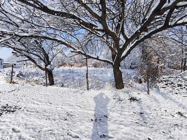бишкек продаю дом село нижний алаарча: 4 соток, Курулуш, Кызыл китеп, Сатып алуу-сатуу келишими — 6