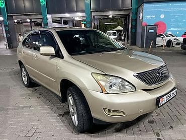 хорошему клиенту: Lexus RX: 2004 г., 3 л, Автомат, Бензин, Кроссовер — 6