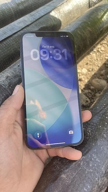 тру: IPhone 12 Pro Max, Б/у, 128 ГБ, Pacific Blue, 79 % — 5