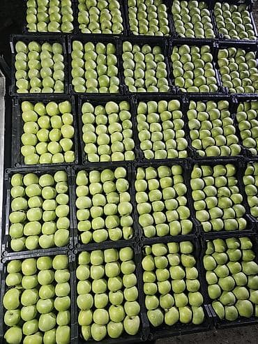 Яблоки Крипсон