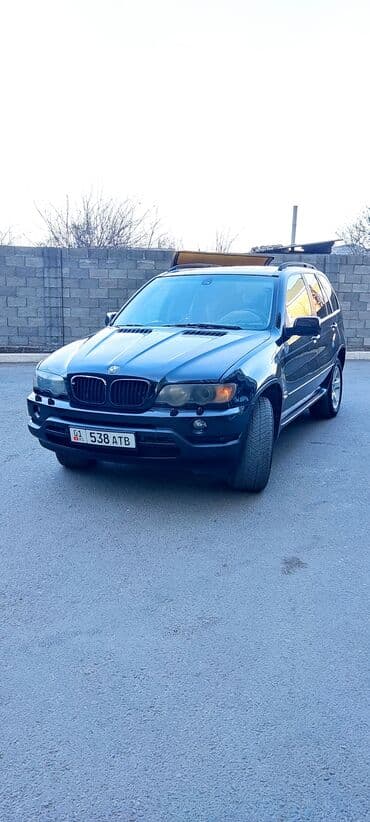 BMW X5: 2003 г., 3 л, Автомат, Дизель, Кроссовер