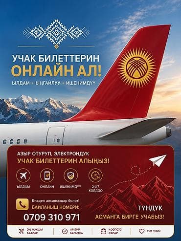 авиакомпания: Авиа Кассир Айнура.Онлайн-продажа авиабилетов по всем направлениям — 3