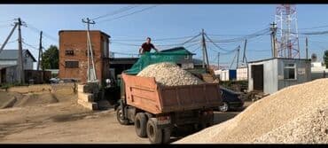 продаю кобылу: Песок песок песок песок — 3