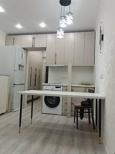 токмок кун чыгыш: 1 бөлмө, 20 м², Малосемейка, 4 кабат, Евроремонт — 1