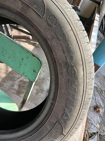 Шиналар 195 / 65 / R 15, Жай, Жеңил унаалар, Belshyna — 2