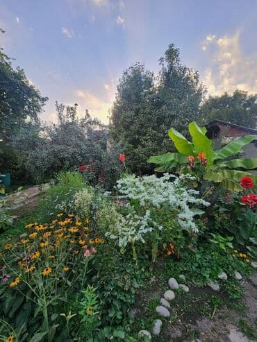 раздольный дом: Дом, 173 м², 5 комнат, Косметический ремонт — 29