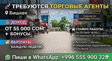 склад ош: Требуется Торговый агент, График: Шестидневка, Без опыта, Обучение, Полный рабочий день — 1