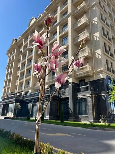 central park бишкек: 3 бөлмө, 125 м², Элитка, 7 кабат, Даяр ПСО (өзү оңдоп түзөтүп бүтүү үчүн) — 7