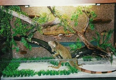 зоомагазин бишкек рядом: Террариумы для экзотических питомцев — 3