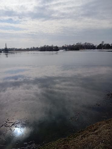 с комсомольское: 1500 соток, Для бизнеса, Красная книга, Договор купли-продажи — 4