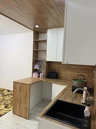 гарнет: 1 комната, 18 м², Элитка, Цокольный этаж этаж, Косметический ремонт — 5