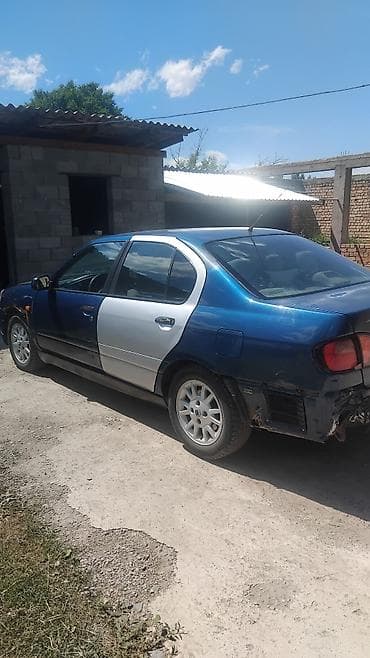 lada priora: Nissan Primera: 2000 г., 1.8 л, Механика, Бензин, Седан — 4