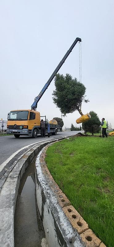 Услуги манипулятора - Профессиональная выкопка, упаковка земляного