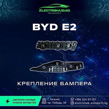 BYD, Новый, Оригинал