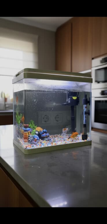 Аквариумный комплект для дома/офиса Состав и особенности: - аквариум