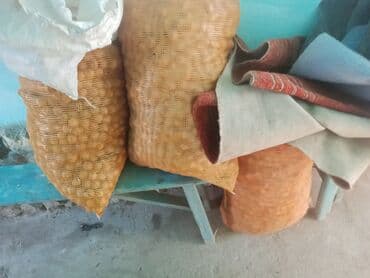 канцтовары оптом бишкек: Грецкий орех тонкокорые урожай 23, 3 сетки, оптом дешевле. винсовхоз — 2