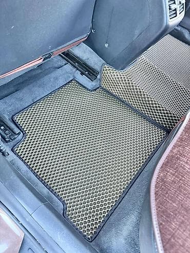 auris: Полики — 2