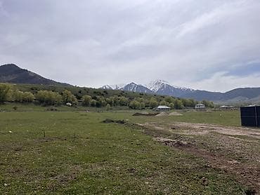 вишня токмок: 5 соток, Для строительства — 2