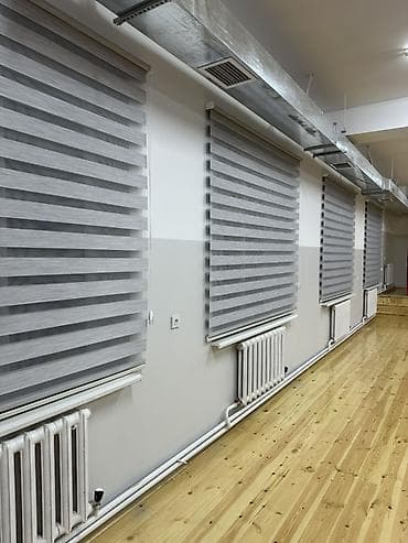 Шторы и жалюзи: Рулонные шторы «День‑Ночь» (зебра) - Тип: двойные рулонные шторы с — 2