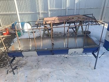 купить петуха живого: Продаю кормушку для барабанов — 4