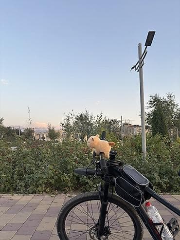 bmb 39: Городской велосипед, Рама M (156 - 178 см), Б/у — 4