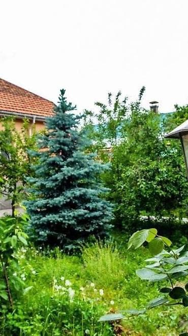 тэц 2: Дом, 200 м², 5 комнат, Агентство недвижимости, Старый ремонт — 4