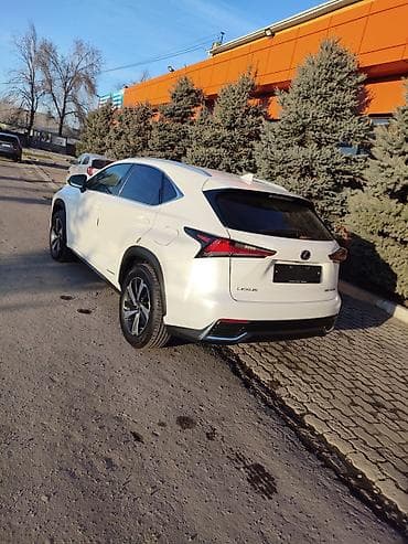 prius 30: Lexus NX: 2019 г., Вариатор, Гибрид, Кроссовер — 5