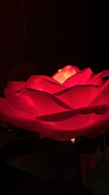 китайский роза: Декоративная напольная композиция «Розы-гиганты» в кашпо. - Три — 5