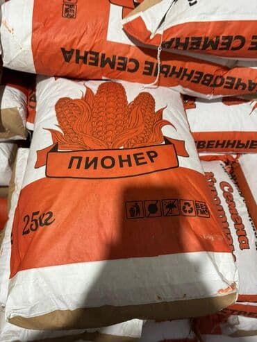 где купить саженцы в бишкеке: Продаю семена кукурузы — 2