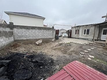 Жер тилкелери: 4 соток, Кызыл китеп — 10