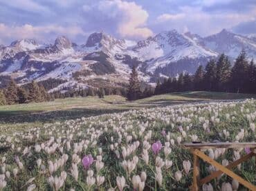 вызов плотника на дом бишкек: Ремонт под ключ | Квартиры Больше 6 лет опыта — 5